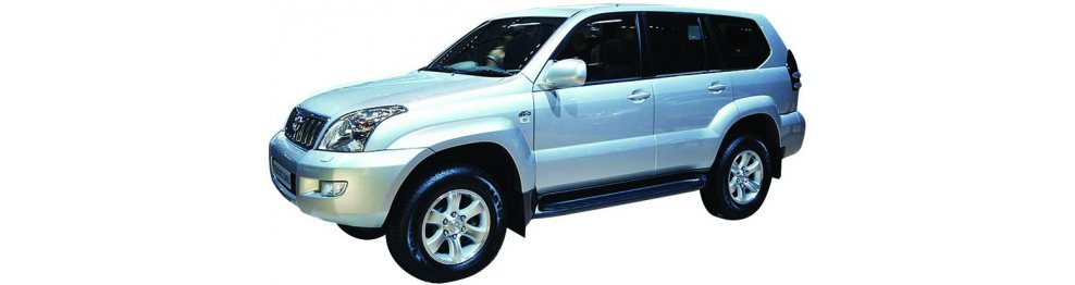 Toyota Land Cruiser   10/02-12/09 - Del 2002