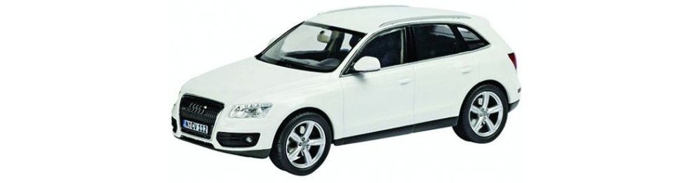 Audi Q5   11/08-08/12 - Del 2008