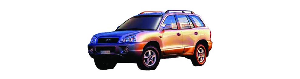 Hyundai Santa Fe   08/00-02/06 - Del 2000