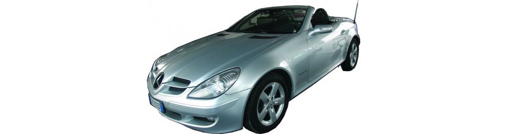 Mercedes Slk R171 04/04-02/11 - Del 2004