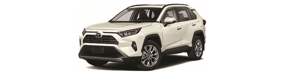 Toyota Rav 4 01/19- - Del 2019